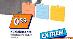 Action Kühlelemente Angebot