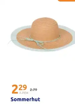 Action Sommerhut Angebot