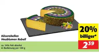 Nah&Frisch Käserebellen heublumen rebell Angebot