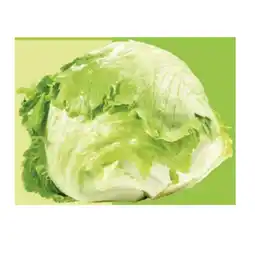 Maximarkt Eisbergsalat Maximarkt Angebot