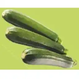 Maximarkt Zucchini Maximarkt Angebot