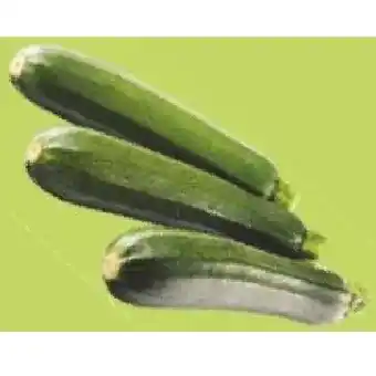 Maximarkt Zucchini Maximarkt Angebot