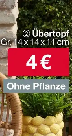 Woolworth Übertopf Angebot