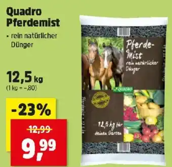 Thomas Philipps Quadro pferdemist Angebot