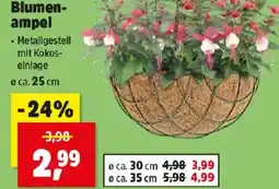 Thomas Philipps Blumen- ampel Angebot
