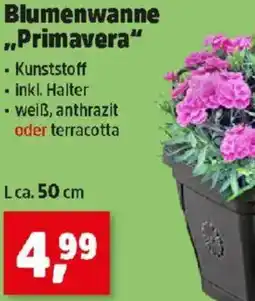 Thomas Philipps Blumenwanne ,,primavera” Angebot
