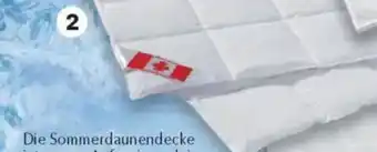 Matratzen Concord Sommerdaunendecke canada Angebot