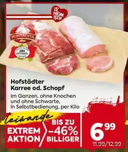 Billa Hofstädter Karree od. Schopf Angebot