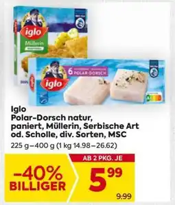 Billa Iglo Polar-Dorsch natur, paniert, Müllerin, Serbische Art od. Scholle div. Sorten, MSC Angebot