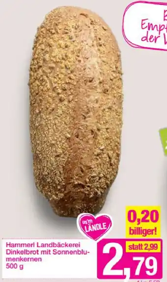 Sutterlüty Hammerl Landbäckerei Dinkelbrot Mit Sonnenblumenkernen 500 g Angebot