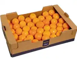 Metro Metro Chef Pressorangen Angebot