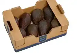Metro Metro Chef Avocado Hass Angebot