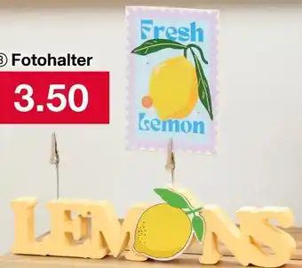 Woolworth Fotohalter Angebot