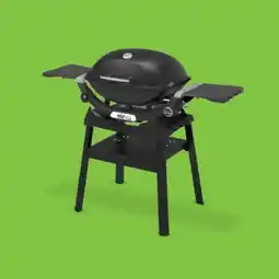 0815 Weber Gasgrill Q2200N Angebot