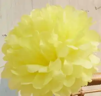 Woolworth Pompoms Angebot