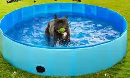 Woolworth Hundepool Angebot