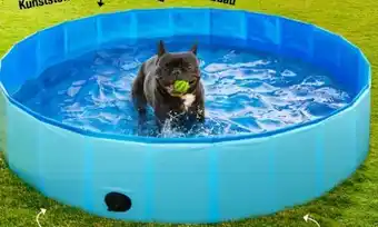 Woolworth Hundepool Angebot