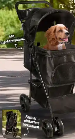 Woolworth Heimtier Buggy Angebot