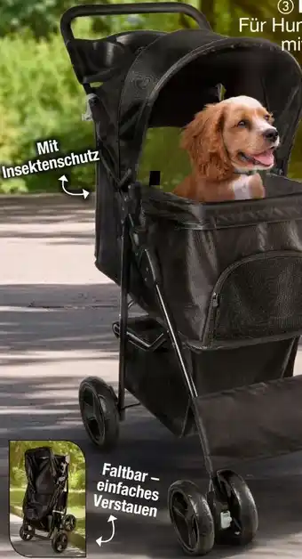 Woolworth Heimtier Buggy Angebot