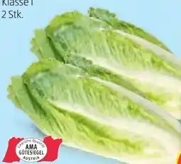 Hofer Hofer Marktplatz Salatherzen Angebot