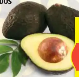 Hofer Hofer Marktplatz Avocados Angebot