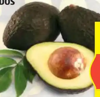 Hofer Hofer Marktplatz Avocados Angebot