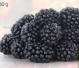 Hofer Hofer Marktplatz Brombeeren Angebot