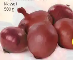 Hofer Hofer Marktplatz Bio Zwiebeln Angebot