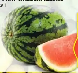 Hofer Hofer Marktplatz Bio-Mini-Wassermelone Angebot