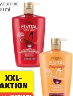 Hofer L'Oréal Paris Elvital Shampoo Angebot