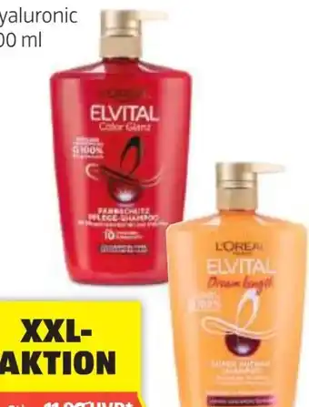Hofer L'Oréal Paris Elvital Shampoo Angebot