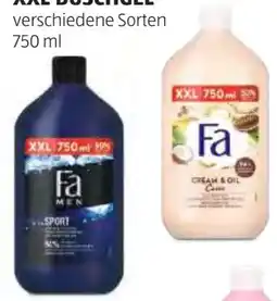 Hofer Fa Duschgel Angebot
