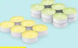 Hofer Home Creation Citronella Teelichter Angebot