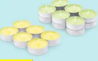 Hofer Home Creation Citronella Teelichter Angebot