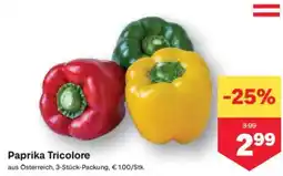 MPreis Paprika tricolore Angebot
