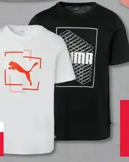 Woolworth Puma Herren T-Shirt Angebot