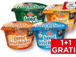 Unimarkt Schärdinger Landfrischkäse Angebot