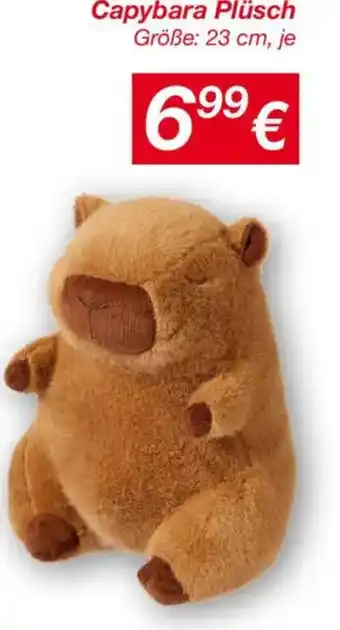 KiK Capybara plüsch Angebot