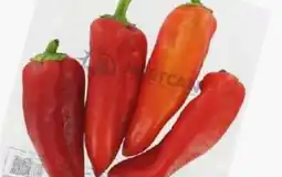 ETSAN Paprika Kapya Angebot