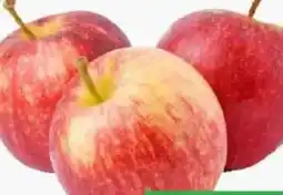ETSAN Äpfel Gala Angebot