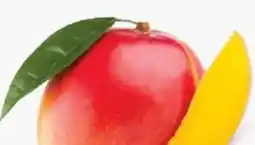 ETSAN Mango Angebot