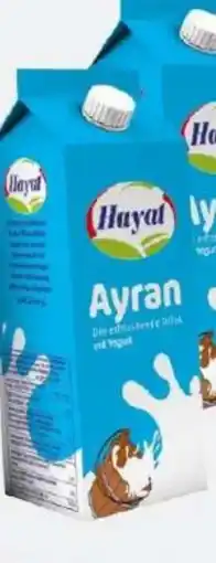 ETSAN Hayat Joghurt-Getränk Angebot