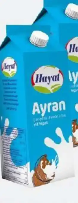 ETSAN Hayat Joghurt-Getränk Angebot