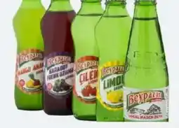 ETSAN Beypazari Quellwasser Angebot