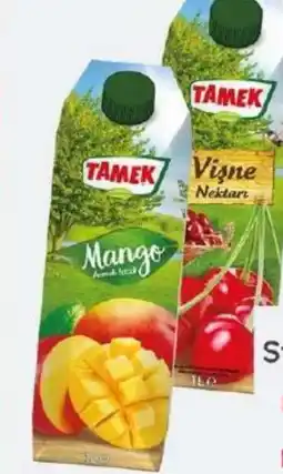ETSAN Türtamek Tamek Nektar Angebot
