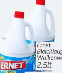 ETSAN Ernet Bleichlauge Wolkenweiss Angebot