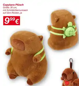 KiK Capybara Plüsch Angebot