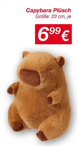 KiK Capybara Plüsch Angebot