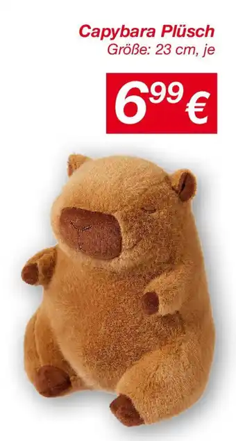 KiK Capybara Plüsch Angebot