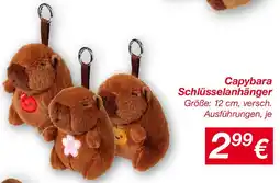 KiK Capybara Schlüsselanhänger Angebot